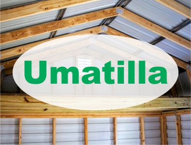 Gambrel Lofted Barn in Umatilla Sheds Interior 10x16 Robin sheds Probuilt Structures Sheds For Sale In Central Florida
