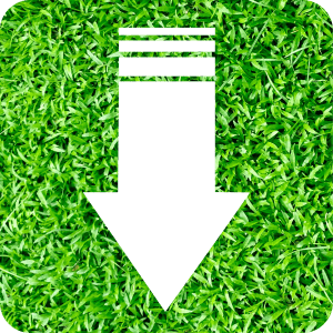 Get your shed set on grass