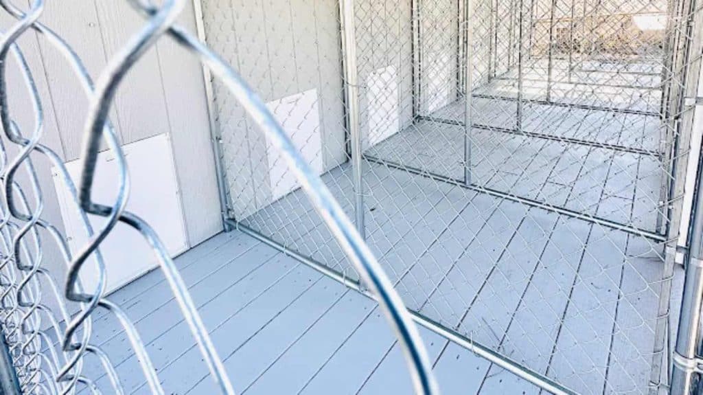 Florida outdoor dog kennels for sale in Alford - spacious, durable, and perfect for sunny days.