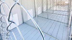 Florida outdoor dog kennels for sale in Port St. Lucie - spacious, durable, and perfect for sunny days.